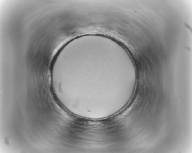 X0000093241509200710241245