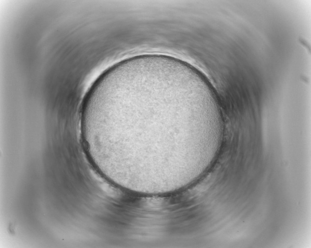 X0000093241511200710241245