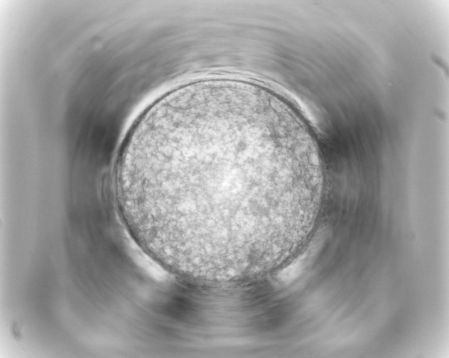 X0000093241514200710241245