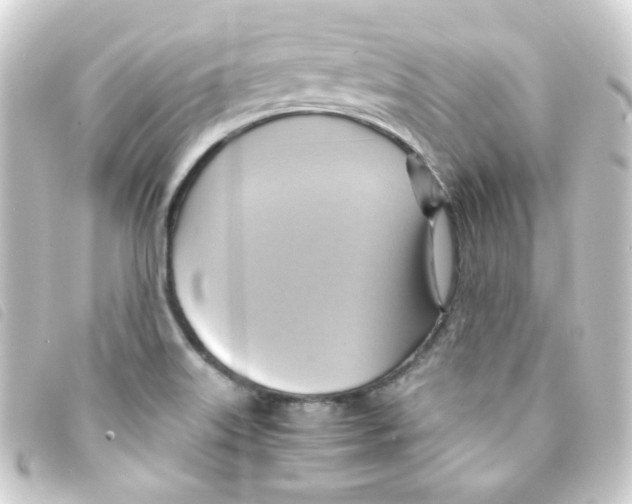 X0000093241515200710241245