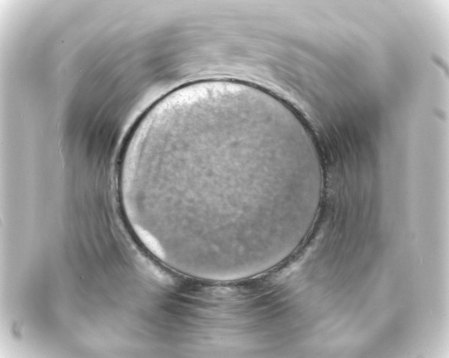 X0000093241517200710241245