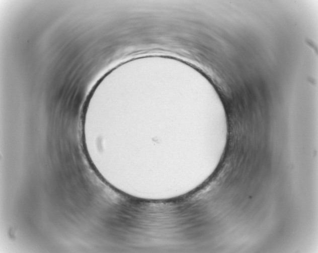 X0000093241518200710241245