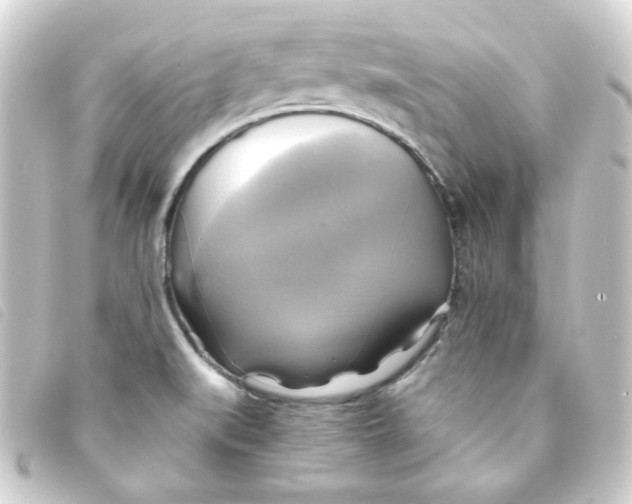 X0000093241519200710241245