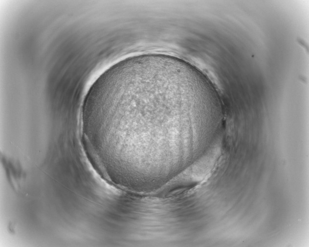 X0000093241520200710241245