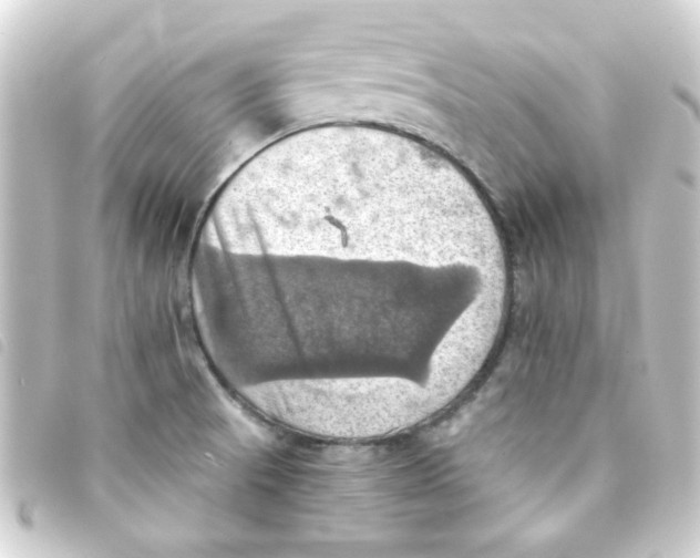 X0000093241521200710241245