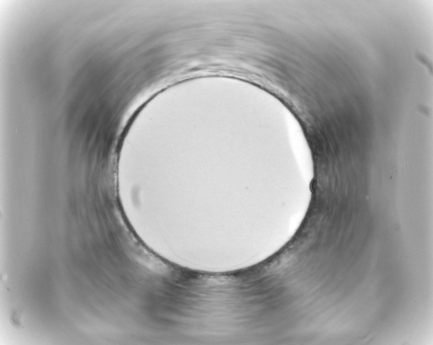 X0000093241522200710241245