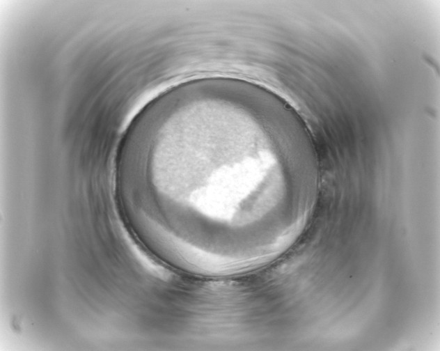 X0000093241523200710241245