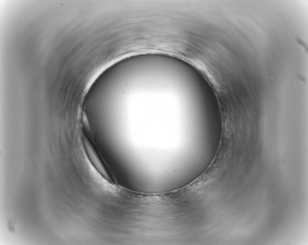 X0000093241524200710241245