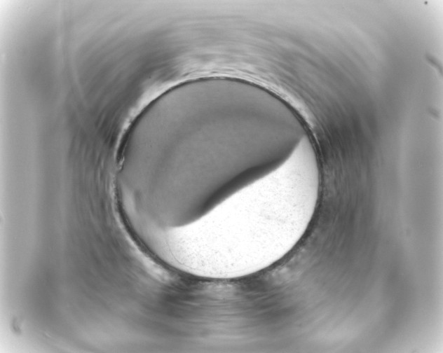 X0000093241525200710241245