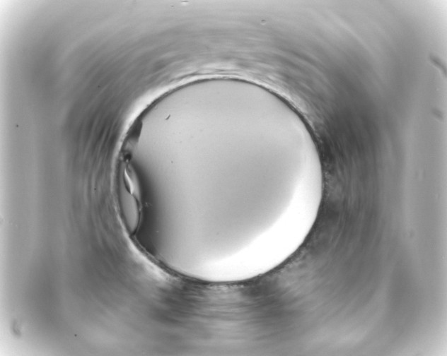 X0000093241527200710241245