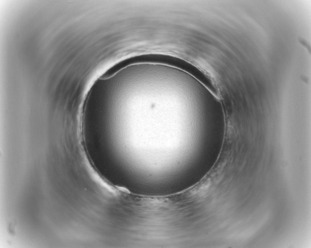 X0000093241528200710241245