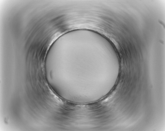 X0000093241529200710241245