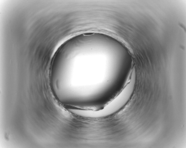 X0000093241530200710241245