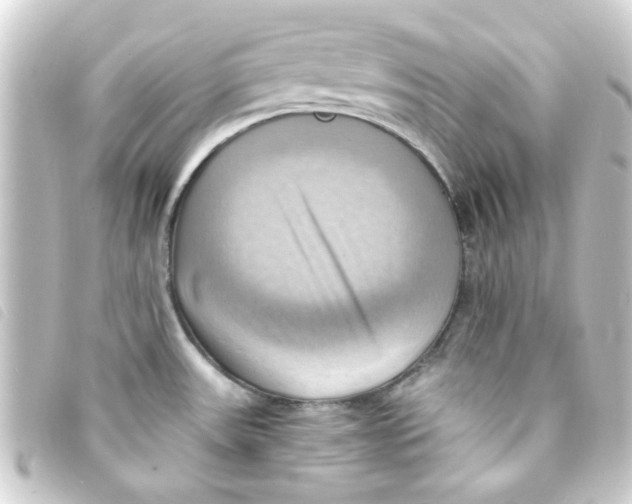 X0000093241531200710241245