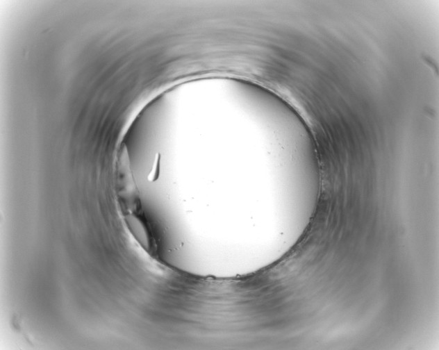 X0000093241532200710241245