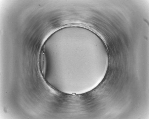 X0000093241533200710241245