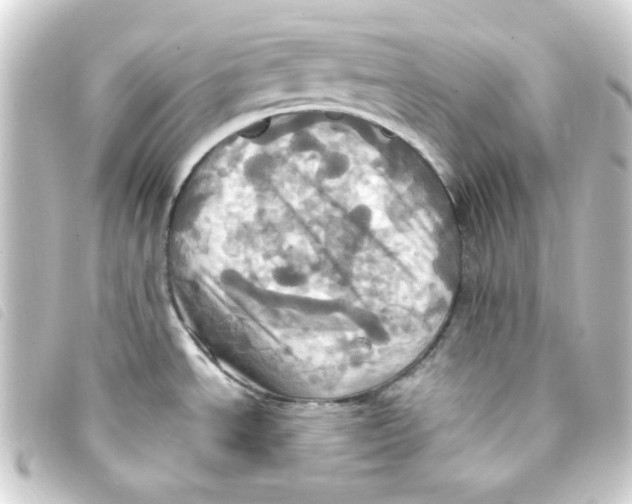 X0000093241534200710241245