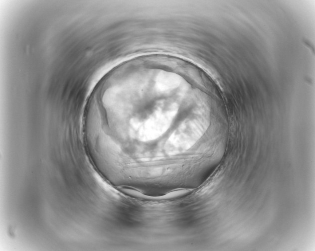 X0000093241535200710241245