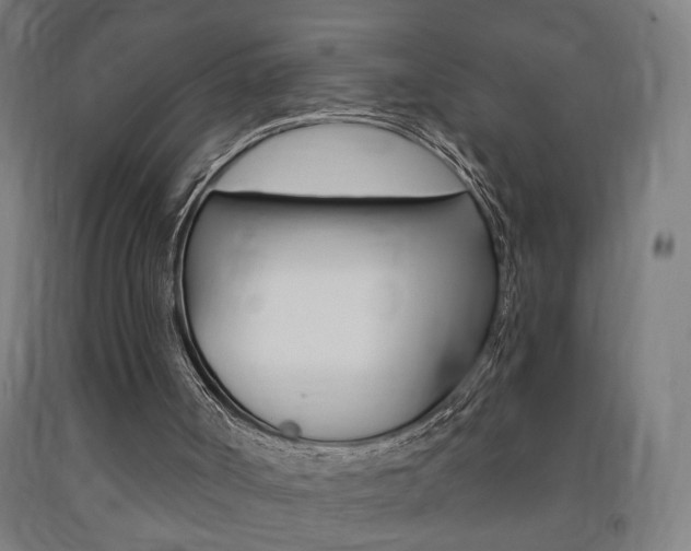 X0000093250002200709261607