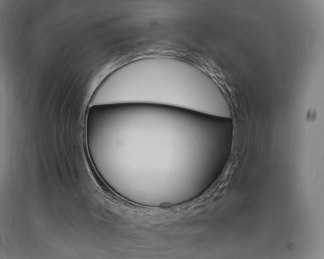X0000093250003200709261607