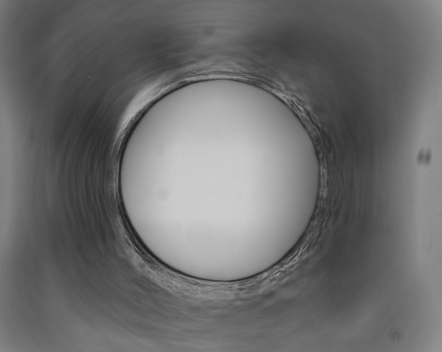 X0000093250004200709261606