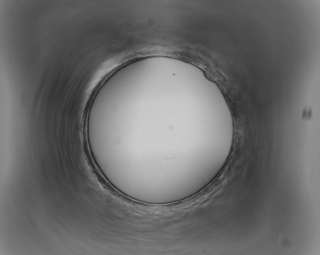 X0000093250006200709261606