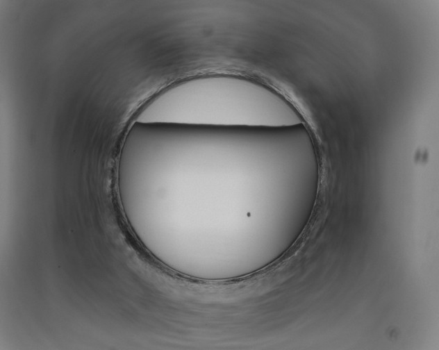 X0000093250010200709261606