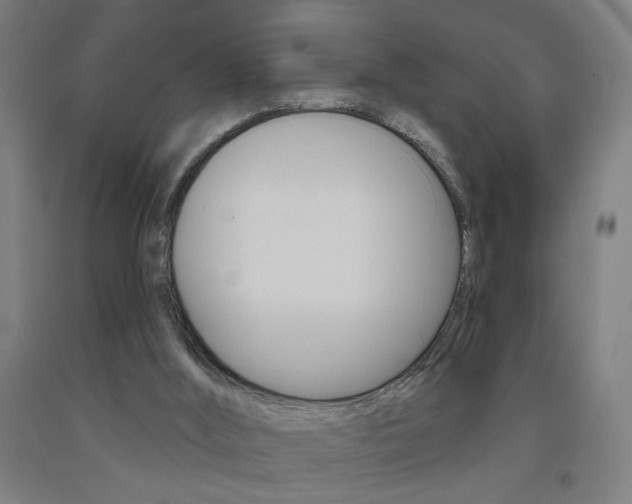 X0000093250012200709261606