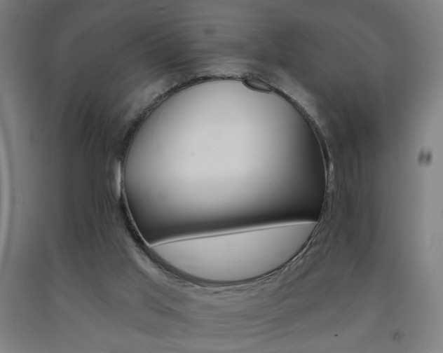 X0000093250013200709261606