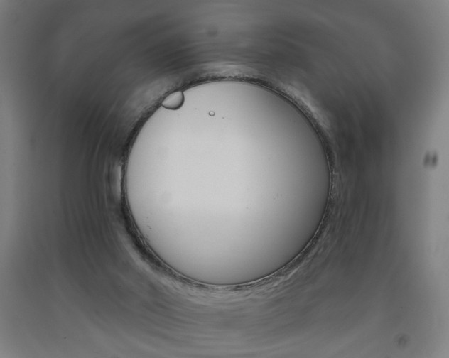 X0000093250014200709261606