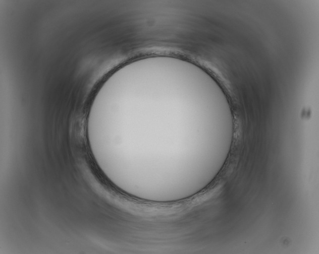 X0000093250016200709261606