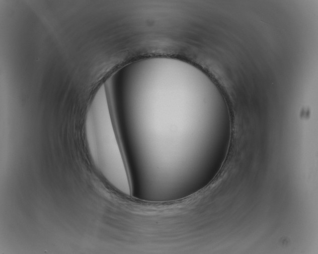 X0000093250017200709261606