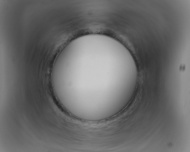X0000093250018200709261606