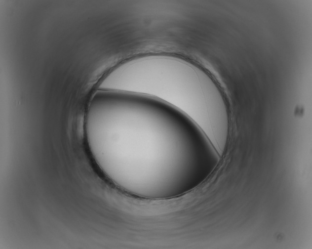 X0000093250019200709261606