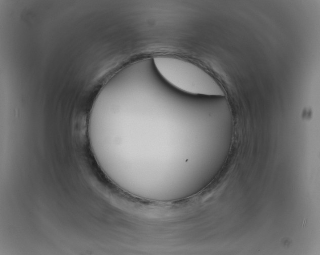 X0000093250024200709261606