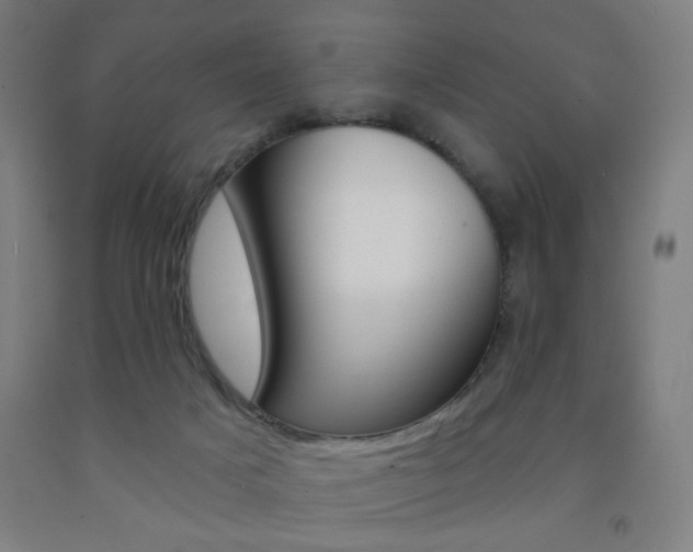 X0000093250025200709261606