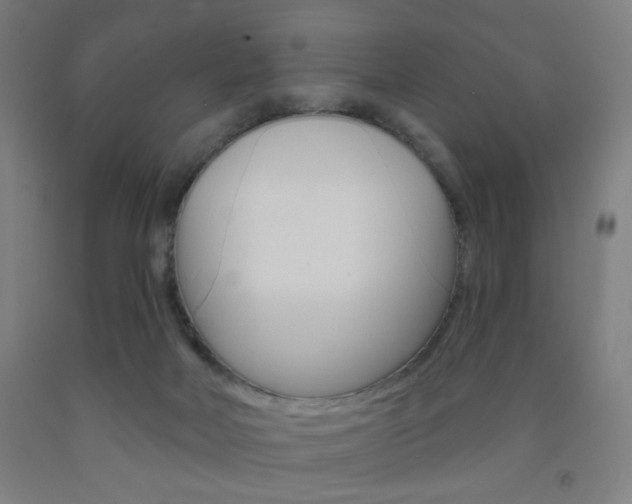 X0000093250026200709261606