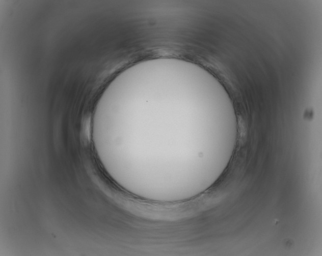 X0000093250028200709261606