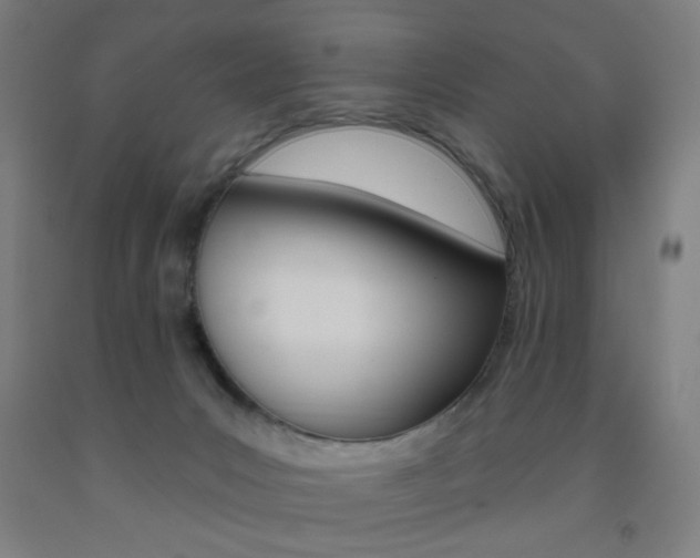 X0000093250031200709261606