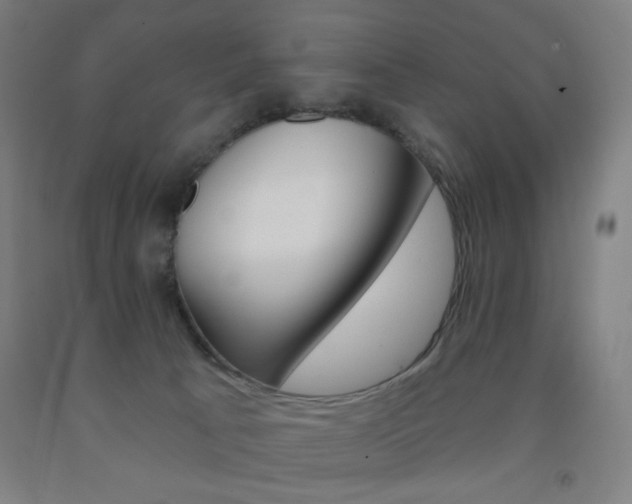 X0000093250033200709261606