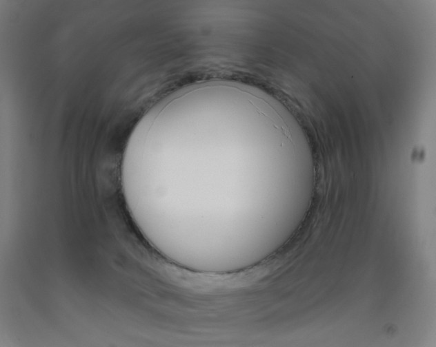 X0000093250034200709261606