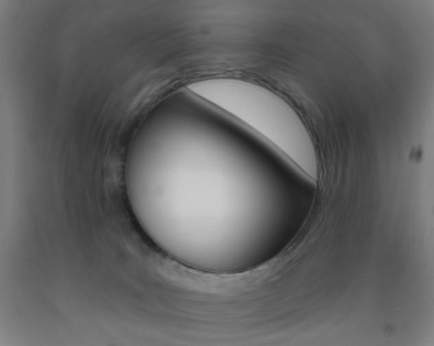 X0000093250035200709261606