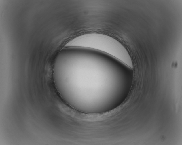 X0000093250037200709261606