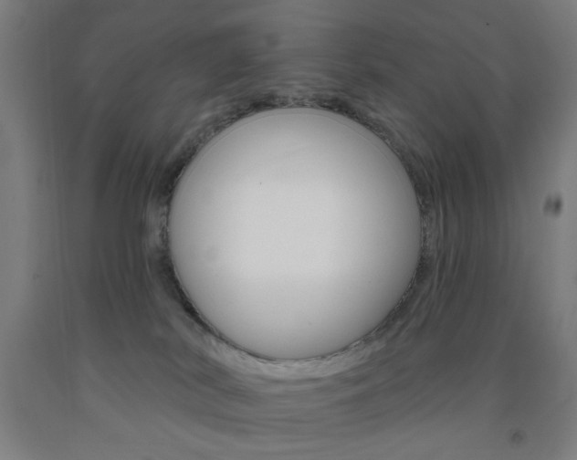 X0000093250038200709261606
