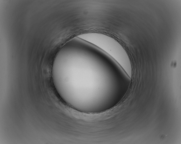 X0000093250039200709261606