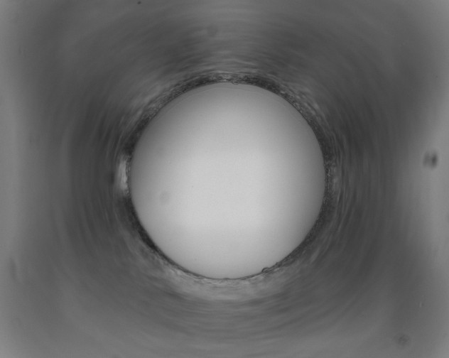 X0000093250042200709261606