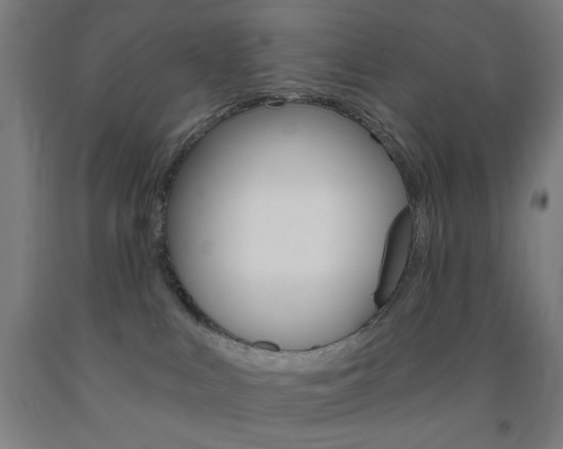 X0000093250043200709261606