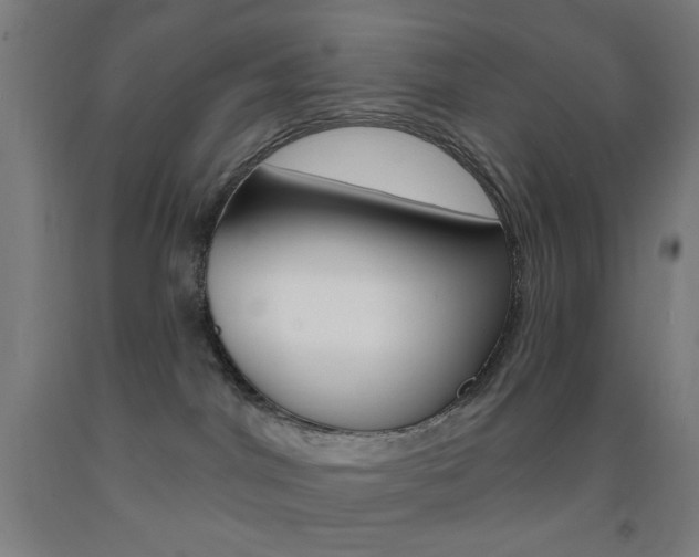 X0000093250044200709261606