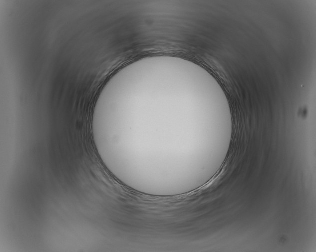 X0000093250045200709261606