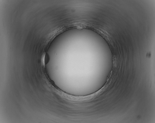 X0000093250047200709261606